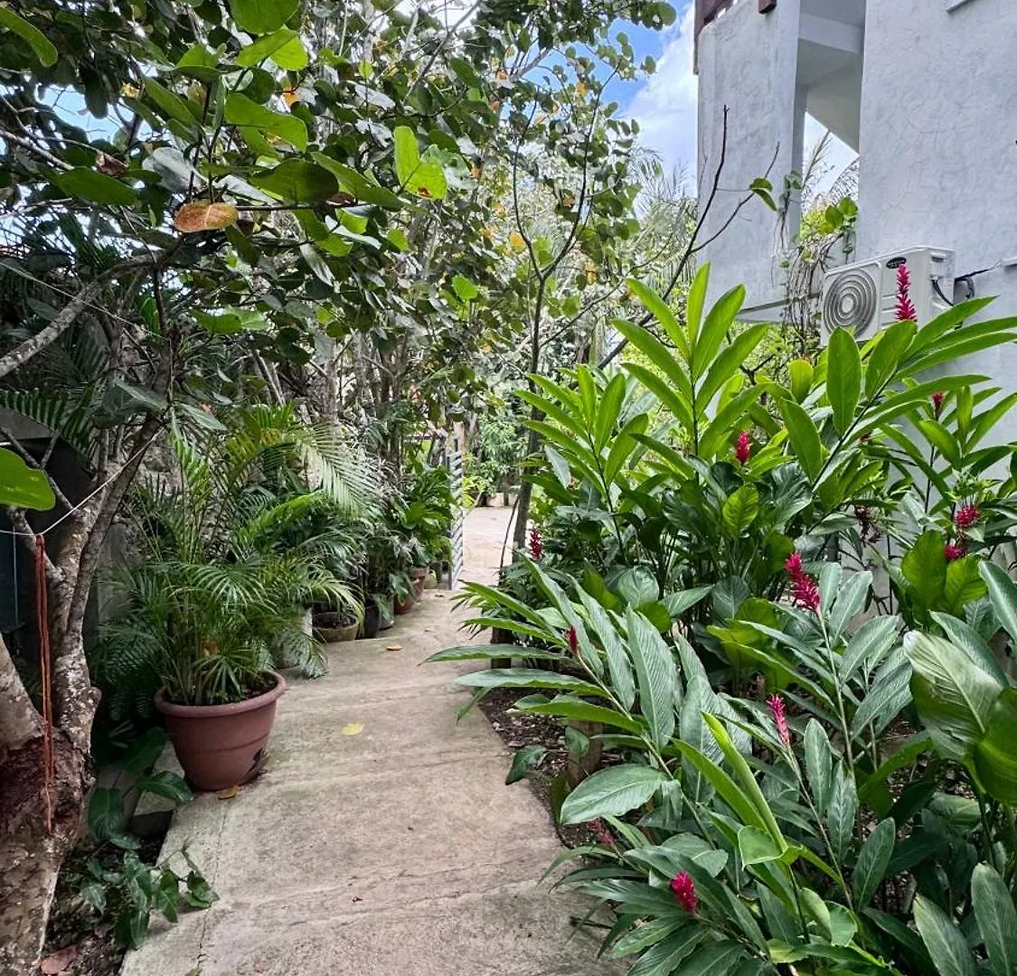 Artgarden Juan Dolio Apartment Juan Pedro Dominican Republic